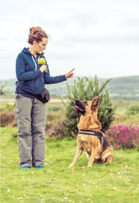Jak odnaučit psa vrčet